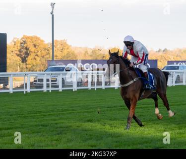 Ascot, Bergen, Großbritannien. 19.. November 2022. Horse Goshen, geritten von Jockey Jamie Moore in der ersten Runde des Coral Hurdle Race bei Ascot Races. Quelle: Maureen McLean/Alamy Stockfoto