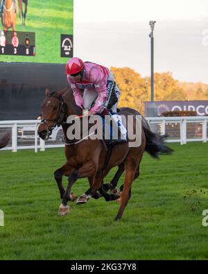 Ascot, Bergen, Großbritannien. 19.. November 2022. Horse Brewin'UpAStorm, geritten von Jockey Aidan Coleman in der ersten Runde des Coral Hurdle Race bei Ascot Races. Quelle: Maureen McLean/Alamy Stockfoto