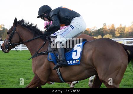 Ascot, Bergen, Großbritannien. 19.. November 2022. Pferd Uhtred unter der Jockey Bridget Andrews wurde Dritter im Coral Hurdle Race bei Ascot Races. Quelle: Maureen McLean/Alamy Stockfoto