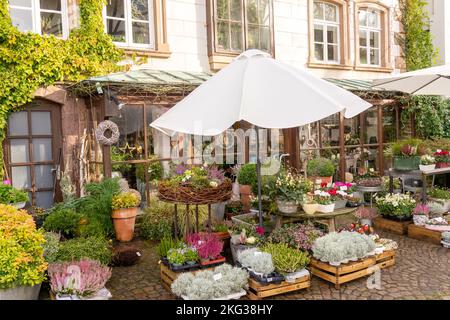 Mit Blumen in einem alten Dorf Stockfoto