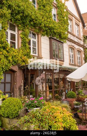 Mit Blumen in einem alten Dorf Stockfoto