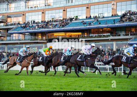 Ascot, Bergen, Großbritannien. 19.. November 2022. Fahrer auf dem ersten Kurs des Paddock Ownership Day Series Open National Hunt Flat Race auf der Ascot Racecourse. Quelle: Maureen McLean/Alamy Stockfoto