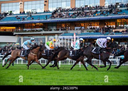 Ascot, Bergen, Großbritannien. 19.. November 2022. Fahrer auf dem ersten Kurs des Paddock Ownership Day Series Open National Hunt Flat Race auf der Ascot Racecourse. Quelle: Maureen McLean/Alamy Stockfoto