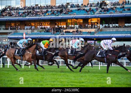 Ascot, Bergen, Großbritannien. 19.. November 2022. Fahrer auf dem ersten Kurs des Paddock Ownership Day Series Open National Hunt Flat Race auf der Ascot Racecourse. Quelle: Maureen McLean/Alamy Stockfoto