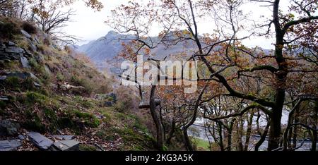 Ein Herbstspaziergang durch den Dinorwic-Schieferbruch in Llanberis, Snowdonia, Gwynedd, Nordwales, Großbritannien Stockfoto