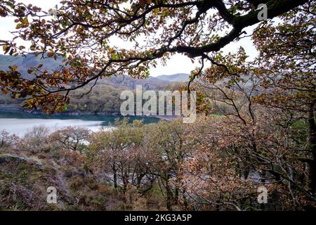 Ein Herbstspaziergang durch den Dinorwic-Schieferbruch in Llanberis, Snowdonia, Gwynedd, Nordwales, Großbritannien Stockfoto