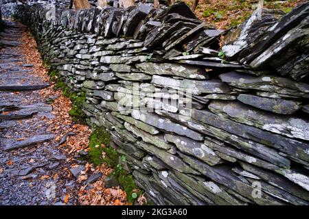 Ein Herbstspaziergang durch den Dinorwic-Schieferbruch in Llanberis, Snowdonia, Gwynedd, Nordwales, Großbritannien Stockfoto