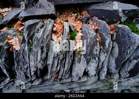 Ein Herbstspaziergang durch den Dinorwic-Schieferbruch in Llanberis, Snowdonia, Gwynedd, Nordwales, Großbritannien Stockfoto