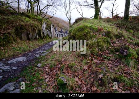 Ein Herbstspaziergang durch den Dinorwic-Schieferbruch in Llanberis, Snowdonia, Gwynedd, Nordwales, Großbritannien Stockfoto