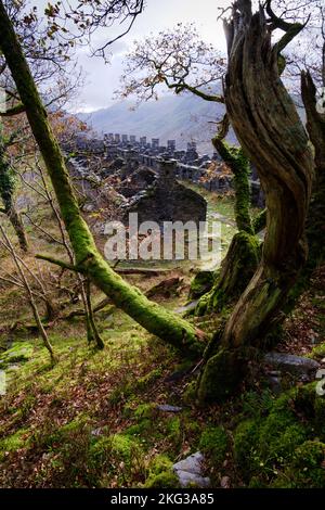 Ein Herbstspaziergang durch den Dinorwic-Schieferbruch in Llanberis, Snowdonia, Gwynedd, Nordwales, Großbritannien Stockfoto