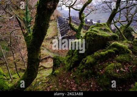 Ein Herbstspaziergang durch den Dinorwic-Schieferbruch in Llanberis, Snowdonia, Gwynedd, Nordwales, Großbritannien Stockfoto