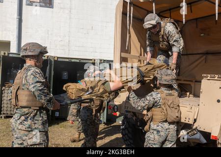 US-Marineinfanteristen und Matrosen mit der Marine Expeditionary Unit 26. (MEU) laden während einer Massenübung zur Reaktion auf Opfer auf das Marine Corps Base Camp Lejeune, North Carolina, 27. Oktober 2022 einen simulierten Unfall in ein Fahrzeug. Der Kurs der Expeditionary Operations Training Group (EOTG) für Massenopfer schulte medizinisches Personal des 26. MEU Bataillon Landing Team 1. Bataillon, 6. Marines und Combat Logistics Bataillon 22 zu Verfahren zur Reaktion auf Unfälle. 26. MEU-Korpsmann arbeitete an der Perfektionierung ihrer Ausführung dieses komplexen Prozesses mit einer Reihe zunehmend schwieriger Szenarien in dieser Woche Stockfoto