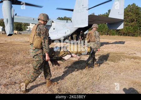 US-Marineinfanteristen und Matrosen mit der Marine Expeditionary Unit 26. (MEU) laden während einer Massenübung zur Reaktion auf Opfer auf das Marine Corps Base Camp Lejeune, North Carolina, 27. Oktober 2022 einen simulierten Unfall in einen MV-22B Fischadler. Der Kurs der Expeditionary Operations Training Group (EOTG) für Massenopfer schulte medizinisches Personal des 26. MEU Bataillon Landing Team 1. Bataillon, 6. Marines und Combat Logistics Bataillon 22 zu Verfahren zur Reaktion auf Unfälle. 26. MEU Corpsman arbeitete daran, ihre Ausführung dieses komplexen Prozesses mit einer Reihe zunehmend schwieriger werdender Szenarien zu perfektionieren Stockfoto