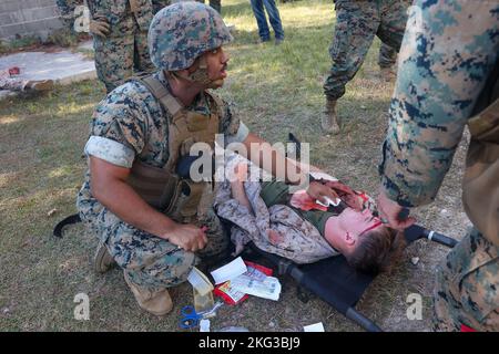 US-Marineinfanteristen und Matrosen mit der Marine Expeditionary Unit 26. (MEU) nehmen an einer Massenübung zur Reaktion auf Opfer auf das Basislager des Marine Corps Lejeune, North Carolina, 27. Oktober 2022 Teil. Der Kurs der Expeditionary Operations Training Group (EOTG) für Massenopfer schulte medizinisches Personal des 26. MEU Bataillon Landing Team 1. Bataillon, 6. Marines und Combat Logistics Bataillon 22 zu Verfahren zur Reaktion auf Unfälle. 26. MEU-Corpsman arbeitete in diesem einwöchigen Kurs daran, ihre Ausführung dieses komplexen Prozesses mit einer Reihe zunehmend schwieriger werdender Szenarien zu perfektionieren. (Foto des US Marine Corps Stockfoto