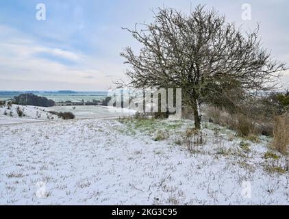 20. November 2022, Brandenburg, Libbenichen: Ein wenig Schnee liegt auf den Hügeln am Rande des Oderbruchs. Foto: Patrick Pleul/dpa Stockfoto