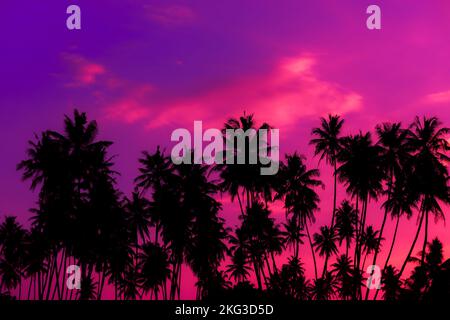 Violetter Sonnenuntergang am tropischen Strand mit Kokospalmen Silhouetten Stockfoto