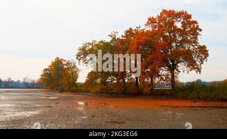 Herbst in Polanka nad Odrou und Jistebnik in Mähren in der Tschechischen Republik. Stockfoto