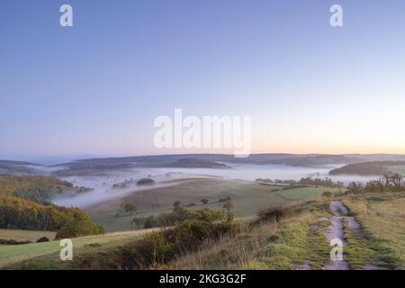 Der frühmorgendliche Nebel liegt im Herbst im Singleton-Tal im South Downs-Nationalpark. Stockfoto