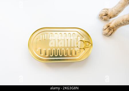 Katzenpfoten stehen neben einer Blechdose mit Sprotten auf weißem Hintergrund Stockfoto