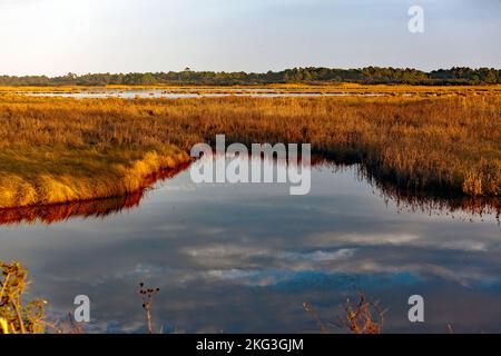 Das Chincoteague National Wildlife Refuge at Dusk, Virginia, USA, bietet einen Blick auf einen Abschnitt des Loop Wildlife Drive Stockfoto