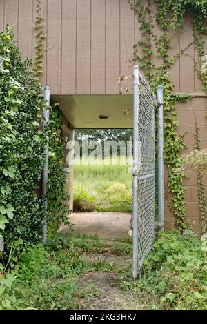 Ungenutzte Gateways in der alten Stockbridge Schule Stockfoto