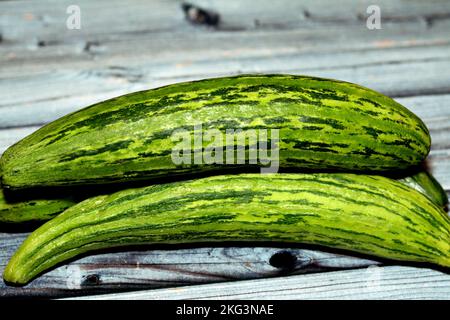 Die armenische Gurke, Cucumis melo var. Flexuosus, eine Art langer, schlanker Frucht, die nach Gurke schmeckt und im Inneren wie eine Gurke aussieht Stockfoto