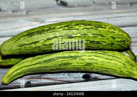 Die armenische Gurke, Cucumis melo var. Flexuosus, eine Art langer, schlanker Frucht, die nach Gurke schmeckt und im Inneren wie eine Gurke aussieht Stockfoto