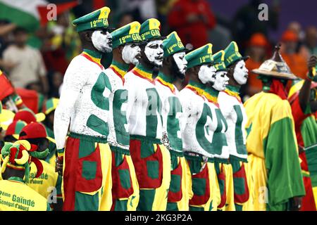 Doha, Katar. 21.. November 2022. DOHA - Senegal-Unterstützende während der FIFA Fußball-Weltmeisterschaft Katar 2022 Gruppe Ein Spiel zwischen Senegal und den Niederlanden im Al Thumama Stadium am 21. November 2022 in Doha, Katar. ANP MAURICE VAN STONE Kredit: ANP/Alamy Live News Stockfoto