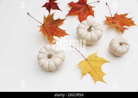 Natürliche Stillleben im Herbst. Bunte Ahornblätter und kleine weiße Kürbisse auf dem Tischhintergrund. Saisonales Herbstkompositon. Thanksgiving Stockfoto