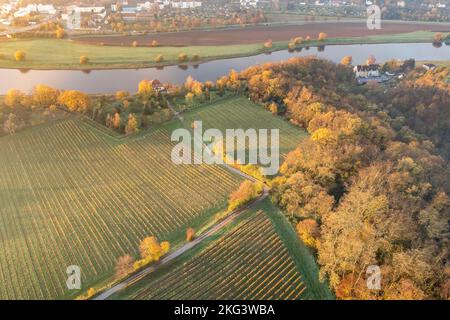 Luftaufnahme über Proschwitz Weinberg und Elbe nördlich der Stadt Meissen Stockfoto