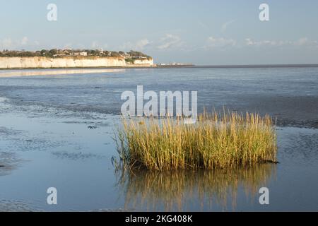 Blick auf Ramsgate von Pegwell Bay, Cliffsend, Thanet, Großbritannien Stockfoto