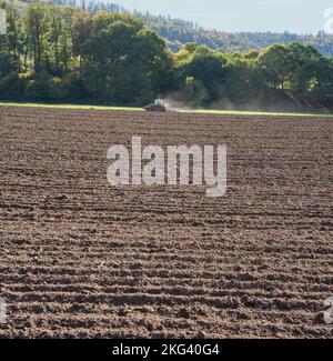 Acker im Herbst Stockfoto