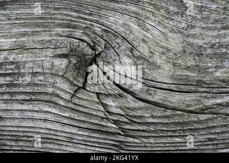 Altes holz Plank Stockfoto