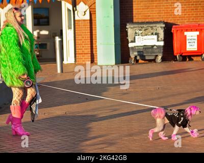 Hundegang in Brighton, England Stockfoto