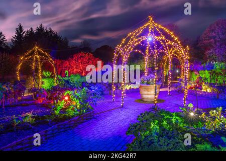 RHS Rosemoor Glow Illuminations. Die herrlichen Bäume, Sträucher, Wasserfiguren und Skulpturen von Rosemoor, die von einem spektakulären, sich verändernden Licht erleuchtet werden Stockfoto