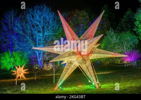 RHS Rosemoor Glow Illuminations. Die herrlichen Bäume, Sträucher, Wasserfiguren und Skulpturen von Rosemoor, die von einem spektakulären, sich verändernden Licht erleuchtet werden Stockfoto