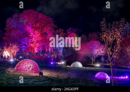 RHS Rosemoor Glow Illuminations. Die herrlichen Bäume, Sträucher, Wasserfiguren und Skulpturen von Rosemoor, die von einem spektakulären, sich verändernden Licht erleuchtet werden Stockfoto