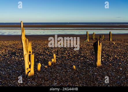 Rye East sussex Groynes - Überreste von hölzernen Groynen am Rye Beach Rye Harbour Nature Reserve Rye Harbour Rye Sussex England GB Europa Stockfoto