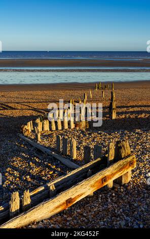 Rye East sussex Groynes - Überreste von hölzernen Groynen am Rye Beach Rye Harbour Nature Reserve Rye Harbour Rye Sussex England GB Europa Stockfoto