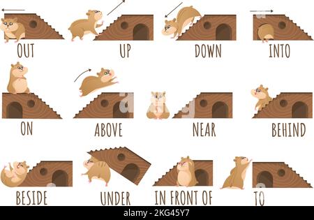 Lernen Sie Präpositionen von Ort und Bewegung. Hamster Charakter in verschiedenen Positionen, niedliche Tier pädagogische Cartoon-Vektor Illustration Set Stock Vektor