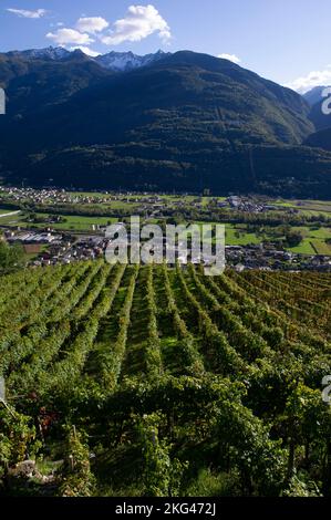 2021. oktober 14 - Europa, Italien, Lombardei, Sondrio, Valtellina, Castel Grumello Stockfoto