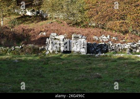 St. CyBi's Heiliger Brunnen, Llyn Peninsular, Nordwales - Ruinen des abgelösten Latrinengebäudes Stockfoto