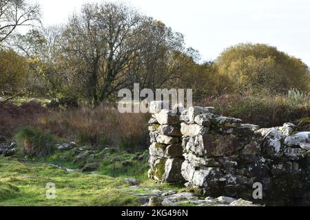 St. CyBi's Heiliger Brunnen, Llyn Peninsular, Nordwales - Ruinen des abgelösten Latrinengebäudes Stockfoto