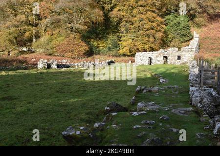 St. Cybis Brunnenpfleger/Hüter Cottage, (Llyn Peninsular North Wales) Brunnenkammer und Ruinen der kleinen abgelösten Latrinengebäude im Herbst Stockfoto