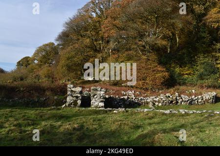 St. CyBi's Heiliger Brunnen, Llyn Peninsular, Nordwales - Ruinen des abgelösten Latrinengebäudes Stockfoto