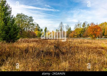 Winter-Entdeckungstour durch die Rhön in der Nähe des Schwarzen Moors - Fladungen - Bayern Stockfoto