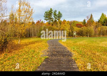 Winter-Entdeckungstour durch die Rhön in der Nähe des Schwarzen Moors - Fladungen - Bayern Stockfoto