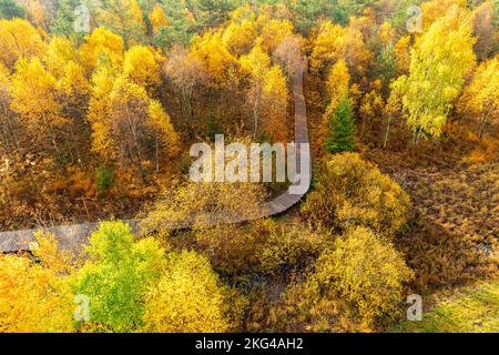 Winter-Entdeckungstour durch die Rhön in der Nähe des Schwarzen Moors - Fladungen - Bayern Stockfoto