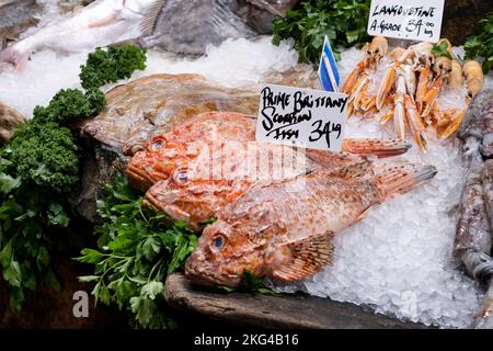 Frisch gebratener Skorpiefisch oder Skorpiefische zum Verkauf an einem Marktstand unter freiem Himmel. Die Gerichte sind preislich und werden auf Eis ausgestellt. Stockfoto
