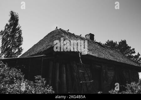 Alte Holzscheune mit Reetdach im Wald unter blauem Himmel. Stockfoto